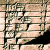 problem Icon
