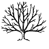 problem Icon